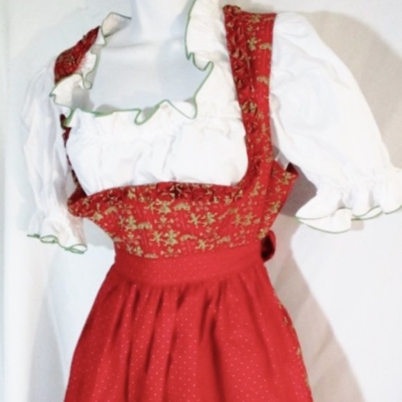 Lanz Dresses & Skirts - NWT NEW ORIGINAL LANZ AUSTRIA Dress Costume